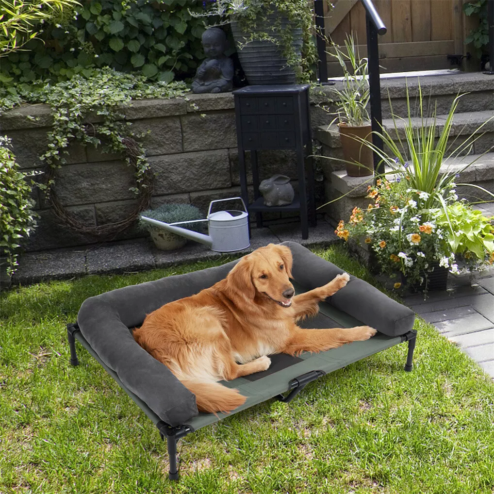 BINGOPAW Cuccia Rialzata per C - Bed Outdoor Camping recensione e prezzo